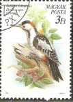 Stamps Hungary -  DENDROCOPOS  SYRIACUS