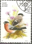 Stamps Hungary -  PYRRHULA  PYRRHULA