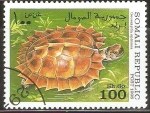 Stamps Somalia -  GEOEMYDA  SPINOSA