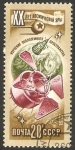 Stamps Russia -  4409 - 20 anivº de la era espacial