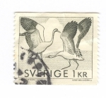 Sellos de Europa - Suecia -  Aves