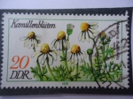 Stamps Germany -  Kamillonblüton - DDR