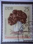 Stamps Germany -  Frühjahrslorchel - DDR