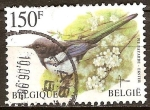 Stamps : Europe : Belgium :  Urraca de pico negro (Pica Pica).