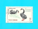 Sellos de Europa - Rumania -  Flora y Fauna - Aves - Cisne Negro