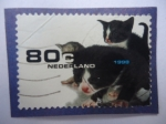 Stamps Netherlands -  Gatos