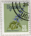 Stamps Uganda -  3 Coleus barbatus