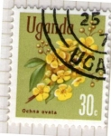 Stamps Uganda -  4 Ochna ovata