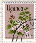 Stamps Uganda -  5 Flora