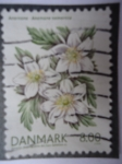 Stamps Denmark -  Anemone