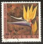 Stamps Poland -  FLOR   AVE   DEL   PARAÌSO