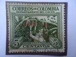 Sellos de Asia - Colombia -  Recolectora de Cacao-Departamento del Cauca.