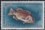 Stamps Indonesia -  Pez Romano