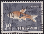 Stamps Asia - Singapore -  Pez Arlequin