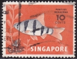 Stamps Singapore -  Pez