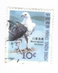 Stamps China -  Águila marina de vientre blanco