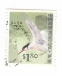 Stamps China -  Charran rosado