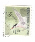 Sellos de Asia - China -  Charran rosado