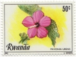 Sellos de Africa - Rwanda -  PAVONIA URENS