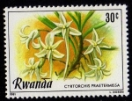 Stamps Rwanda -  CYRTORCHIS PRAETERMISSA