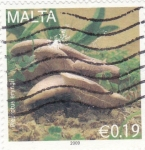 Sellos de Europa - Malta -  Setas- Pleurotus eryngii