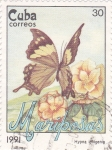 Stamps Cuba -  Mariposa cubana