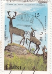Stamps Cuba -  50 Aniversario del jardín de la Habana