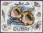 Stamps : Asia : United_Arab_Emirates :  Pez mariposa Rayada