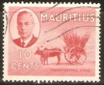 Stamps Mauritius -  TRANSPORTACIÒN   DE  CAÑA  