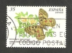 Sellos de Europa - Espa�a -  3694 - Mariposa parnassius apollo