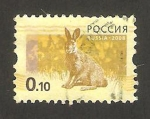 Stamps Russia -  7049 - Una liebre
