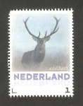 Stamps : Europe : Netherlands :  Un ciervo rojo
