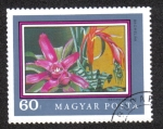 Stamps Hungary -  BROMELIACEAE