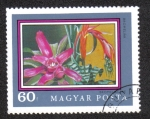 Sellos de Europa - Hungra -  BROMELIACEAE