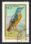 Stamps Hungary -  Pajaro