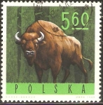 Stamps Poland -  BISONTE   EUROPEO