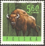 Sellos del Mundo : Europa : Polonia : BISONTE   EUROPEO