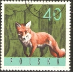 Stamps Poland -  ZORRO   ROJO