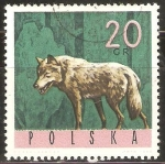 Stamps Poland -  LOBO