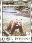 Stamps Romania -  URSUS   ARCTOS