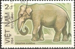 Sellos de Asia - Vietnam -  ELEPHAS  INDIDUS