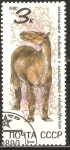 Stamps Russia -  ANIMALES  PREHISTÒRICOS.  CHALICOTHERIUM