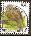 Stamps : Europe : Belgium :  tórtola turca.