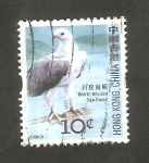 Sellos del Mundo : Asia : Hong_Kong : 1301 - Águila de mar de vientre blanco