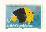 Stamps America - Virgin Islands -  Fauna tropical