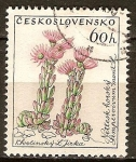 Stamps Czechoslovakia -  Netřesk montaña, Sempervivum mont. L.
