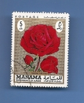 Stamps : Asia : United_Arab_Emirates :  MANAMA  depend. of AJMAN  Flores  ROSA "María Callas"