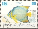 Stamps Cuba -  PECES  DE  ACUARIUM.  HOLACANTHUS  CILIARIS.