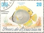 Stamps Cuba -  PECES  DE  ACUARIUM.  CHAETODON  OCELLATUS.