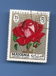 Stamps : Asia : United_Arab_Emirates :  MANAMA depend. of AJMAN Flores ROSA "Grand Gala"